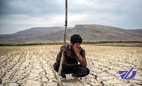 خسارت 726 میلیارد تومان خشکسالی به کشاورزان و دامپروران منطقه سیستان