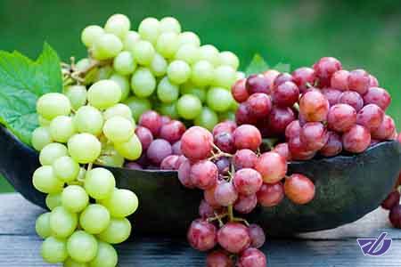 صادرات 30 میلیاردی انگور از آذربایجان غربی 