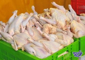 آزاد شدن صادرات، مرغ را گران‌تر نمی‌کند