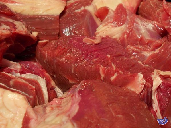 140 تن گوشت گوساله در راه خراسان‌شمالی