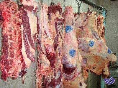 ۹۰ درصد گوشت قرمز در کشور تولید می‌شود / حذف واسطه‌ها در توزیع هدفمند داخلی