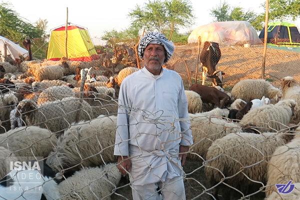 جزئیات کمک‌ بلاعوض و تسهیلات ارزان قیمت برای کشاورزان سیل‌زده+عکس