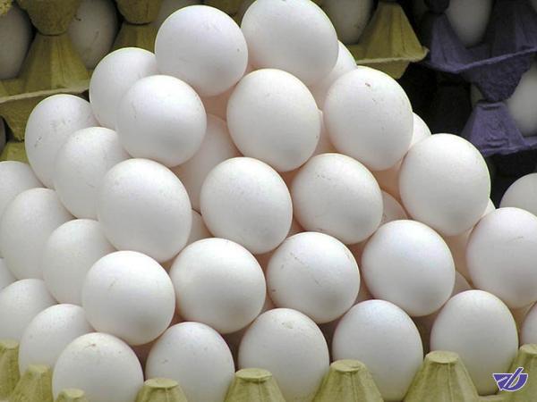 آزاد شدن صادرات تخم‌مرغ پس از ممنوعیت ۳ ماهه