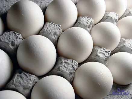 حداکثر قیمت هر کیلوگرم تخم مرغ فله برای مصرف کننده ۱۴ هزار و ۵۰۰ تومان