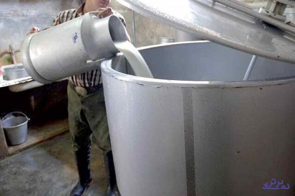 قیمت شیر خام درب دامداری ۴۵۰۰تومان تصویب شد