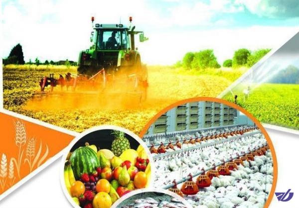 عدم کنترل لازم بر تولید محصولات سالم/نتایج طرح تحقیقاتی برای باقی‌مانده سموم کشاورزی