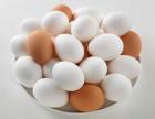 تخم‌مرغ دانه‌ای ۶۵۰ تومان گران نیست!