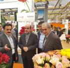 ایران می تواند قطب تولید گل در منطقه شود