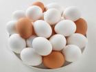 واردات تخم مرغ از کشور ترکیه!