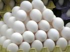 آزاد شدن صادرات تخم‌مرغ پس از ممنوعیت ۳ ماهه