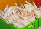 کاهش 20 درصدی قیمت مرغ در آذربایجان غربی نسبت به یک ماه گذشته