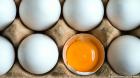 حذف مشروط عوارض صادراتی تخم مرغ برای شهریور