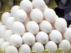 قیمت تخم مرغ رکورد زد/ هرشانه ۳۸ هزار تومان!