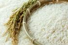 جزئیات ورود برنج به بورس کالا