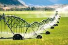 پیشنهادی برای کاهش ۳۰ درصدی مصرف آب کشاورزی توسط صنعت مهم بورسی