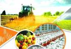 عدم کنترل لازم بر تولید محصولات سالم/نتایج طرح تحقیقاتی برای باقی‌مانده سموم کشاورزی