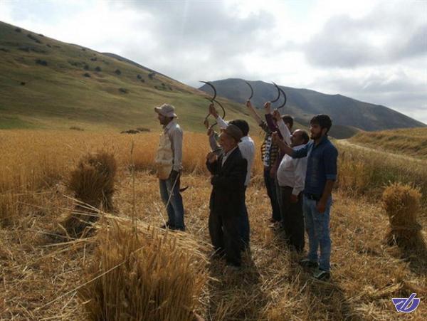 پارادوکس میان آب و غذا در ایران