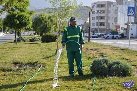 جریمه پیمانکاران متخلف فضای سبز در پی "آبیاری نامناسب"