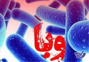 رد شایعه شیوع وبا در «نوشهر»