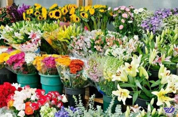 آخرین خبرها از ساخت پایانه بین‌المللی گل و گیاه