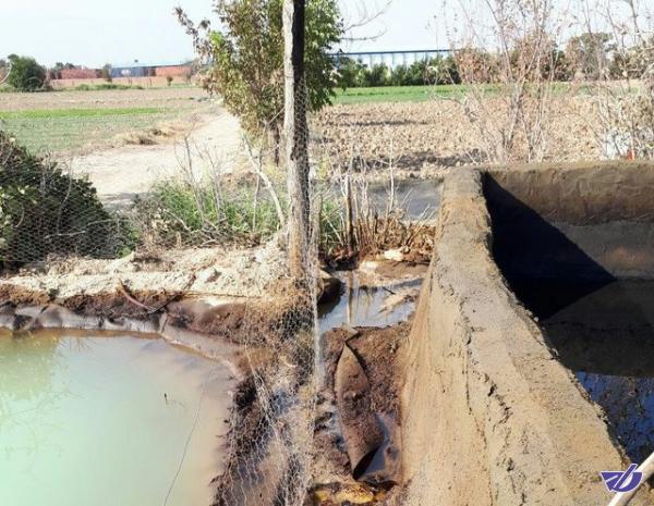 نشت نفت به آب‌های زیرزمینی اطراف پالایشگاه تندگویان تایید شد
