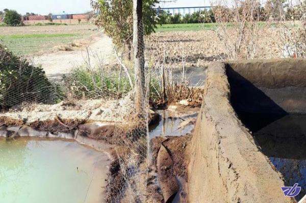 نشت نفت به چاه‌های آب از پالایشگاه تندگویان سابقه دارد/ انجام نمونه‌برداری و تکمیل مستندات