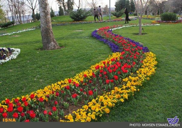 تبدیل سه پادگان در تهران به محدوده فضای سبز/همکاری نیروهای مسلح در صدور مجوز درختکاری