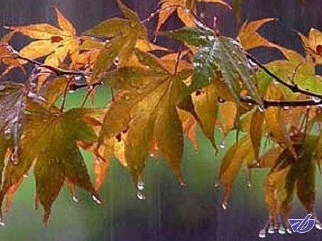 بارش و لغزندگی در محورهای سه استان