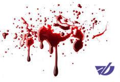 آغاز تحقیقات در پرونده جنایت پارک گلزار