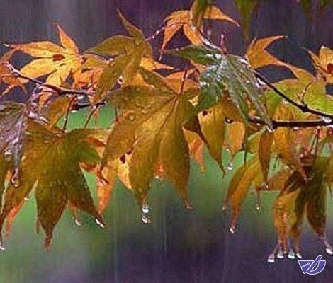 تداوم بارش برف و باران در کشور