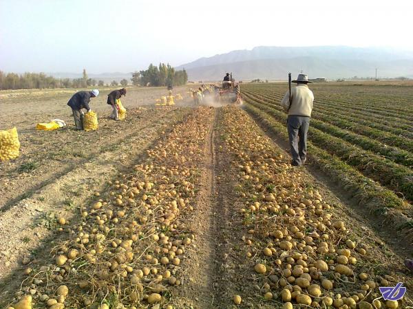 باعث تشدید شوری خاک نشویم!