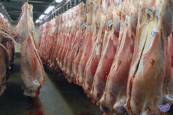  تولید انواع گوشت قرمز کاهش پیدا کرده است