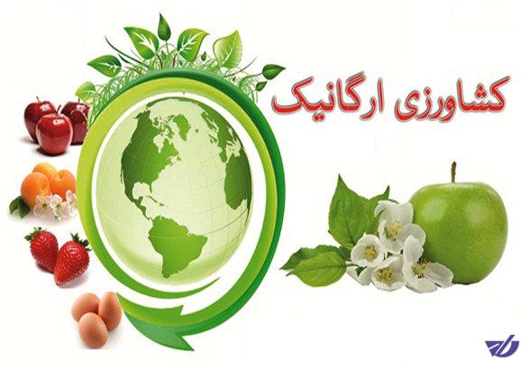 ایران چهل‌وسومین تولیدکننده ارگانیک
