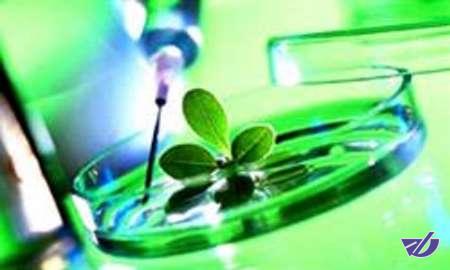 جایگاه ایران در زمینه انتشار مقالات علمی زیستفناوری در دنیا 14 است