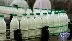 شیر کم شده یا وانمود به کمی می‌شود؟