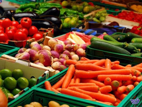 صادرات دو برابر گران‌تر از واردات شد