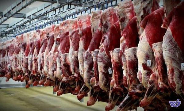 راهکار وزیر جهاد کشاورزی برای کنترل قیمت گوشت