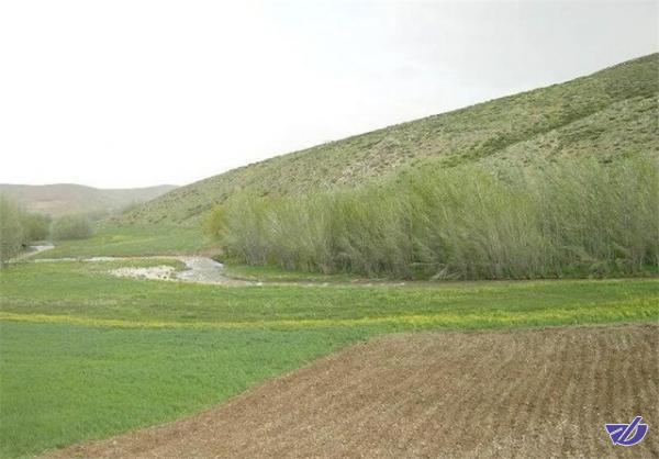 نظر متفاوت سازمان جنگل‌ها درباره رتبه ایران در فرسایش خاک