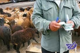 دستگیری 2 نفر برای حمل غیرمجاز 40راس گوسفند در خراسان‌شمالی