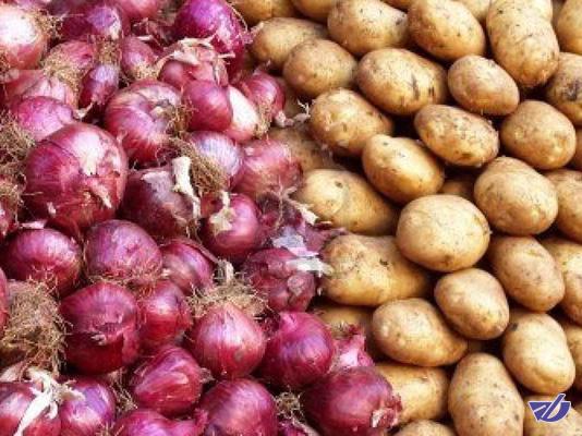 کاهش قیمت سیب زمینی و پیاز در روزهای آینده