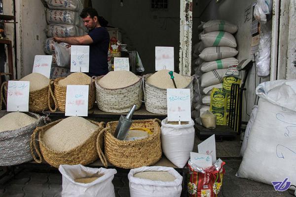 دلالانی که حالا راه بازار برنج را پیدا کرده‌اند