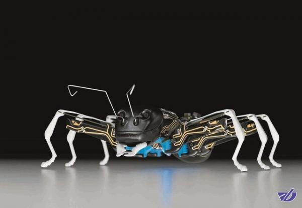 ساخت سیستم‌های رباتیکی و مکانیکی با الهام از حرکات سوسک/یافته‌های جدید محققان‌ از حشرات ۶پا