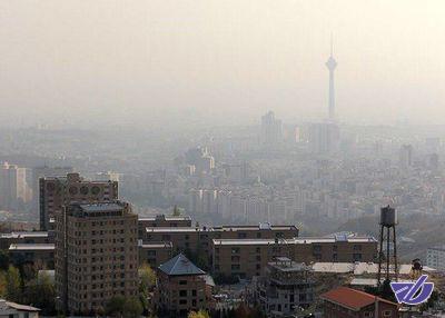 آغاز تولید میدان گازی بزرگ مصر