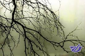 کاهش ۲۷ درصدی بارش در کشور