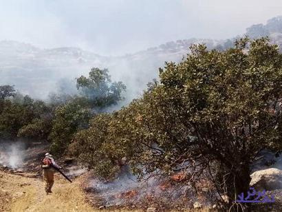 آتش سوزی منطقه حفاظت شده دنا پس از ۳ شبانه روز مهار شد