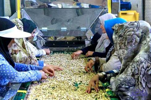 پرداخت ۲۶۰۰ میلیارد تومان تسهیلات اشتغال روستایی