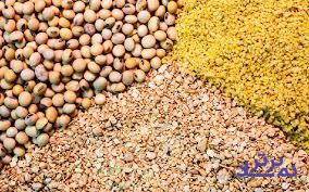 ضرورت شفاف شدن توزیع خوراک دام و طیور
