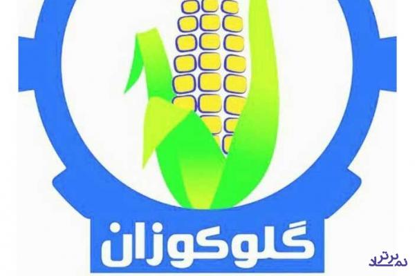 خطوط تولید گرانترین سهم سابق تا اطلاع ثانوی متوقف شد + دلیل