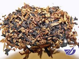 واردات ۸۰ درصدی توتون به ایران/ کشت داخلی توسعه مییابد