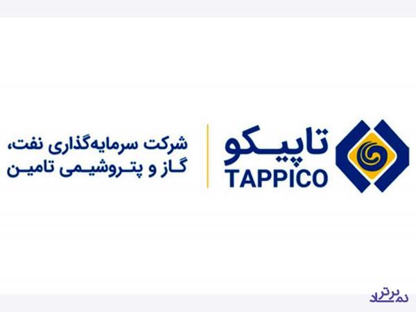 رشد سرمایه گذاری در «تاپیکو»